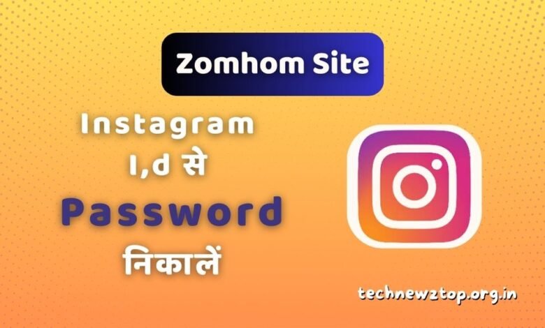 Zomhom Site Instagram Password