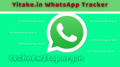 Yitake.in WhatsApp Tracker