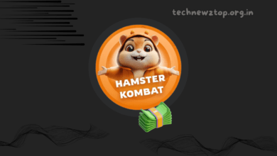 What is Hamster Kombat